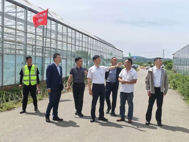 首页- J9集团国际站官网入口